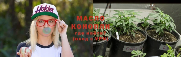 индика Пролетарск