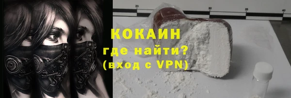скорость Ельня